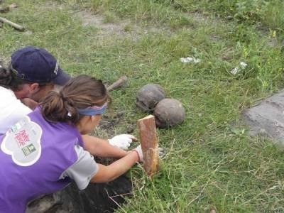Поруч із похованнями було виявлено окремо черепи - свідчення підзахоронення у XVII-XVIII ст